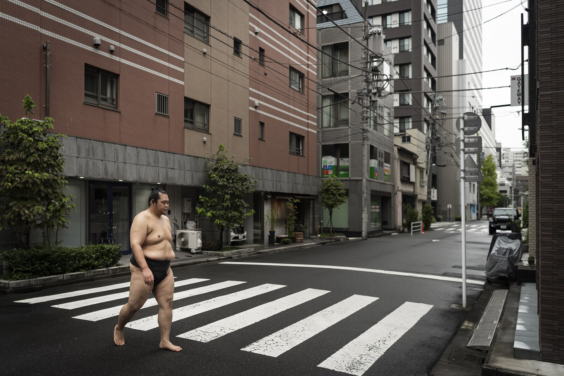 Sumo, Tokyo, Japan